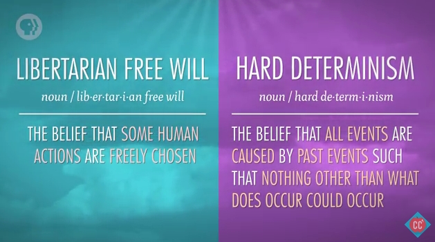 Economic Determinism vs Freewill